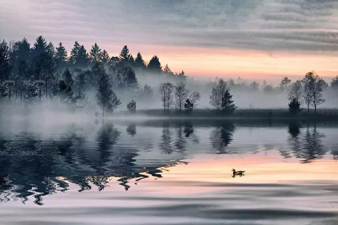 半夏,龙葵,白芷,曲莲,紫苏 合欢,赤芍,连翘,沉香,青蒿 青黛,玳瑁,菖蒲